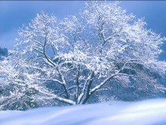 寫景的作文200字-下雪啦 寫景的作文200字-下雪啦